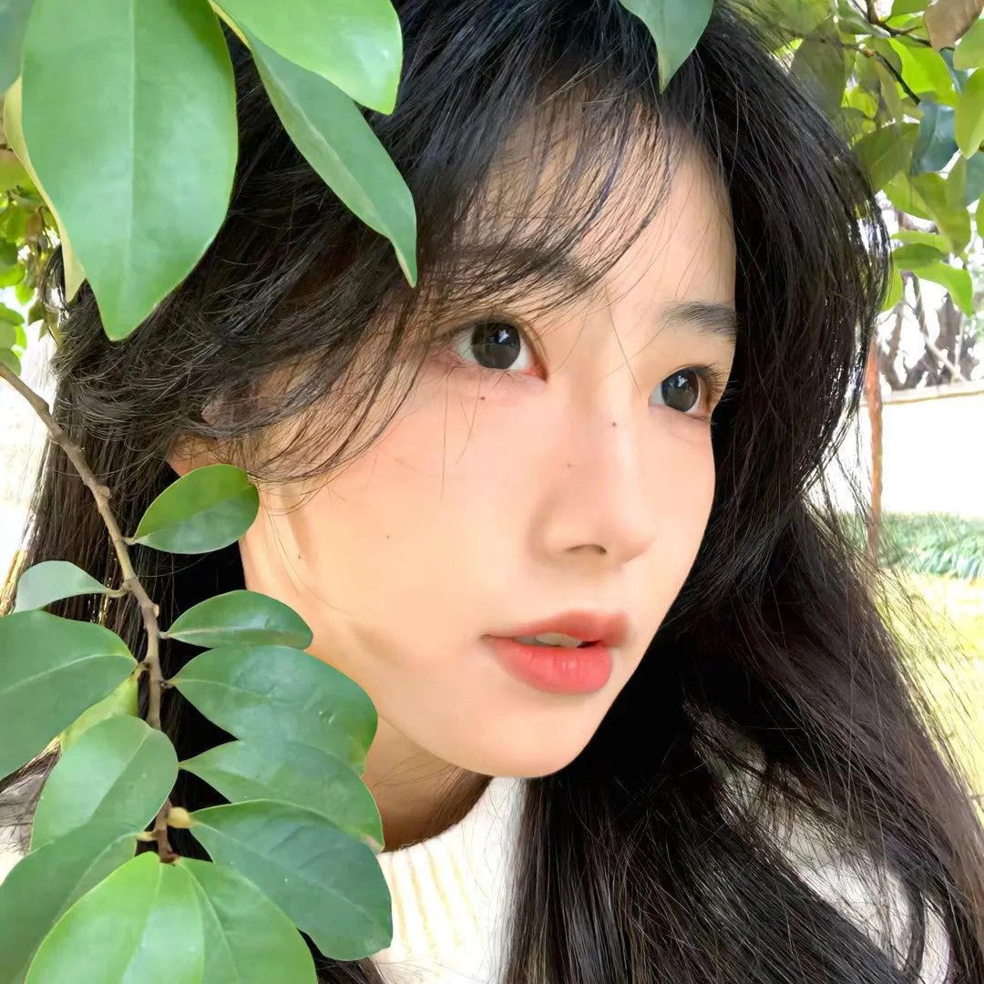 她和她的猫 海报