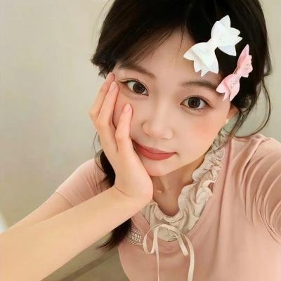 我是海鸥 海报